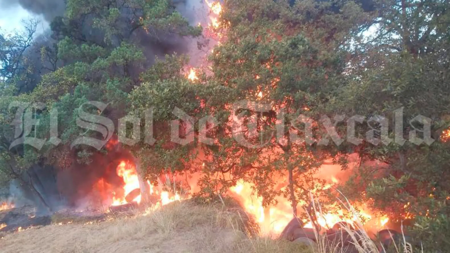 incendio tradero clandestino tetla, fuego 1-1